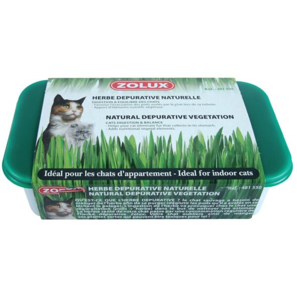 HERBE A CHAT 250G