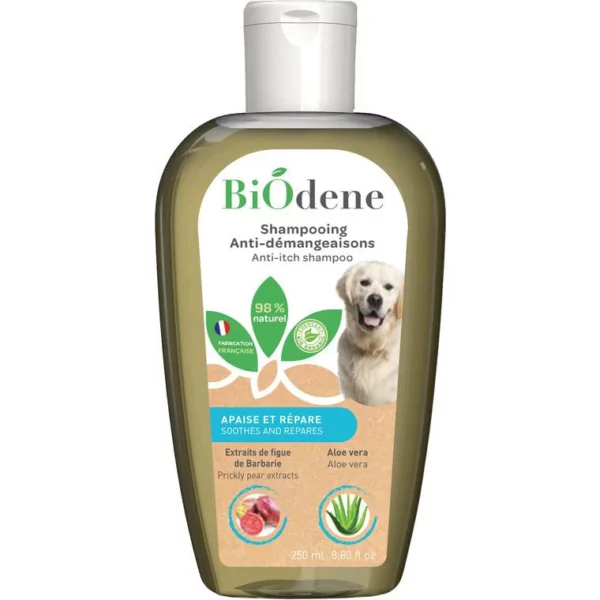 shampoing anti derm chien