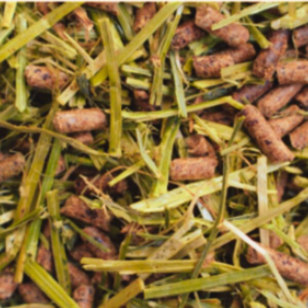 GRANULE S-150