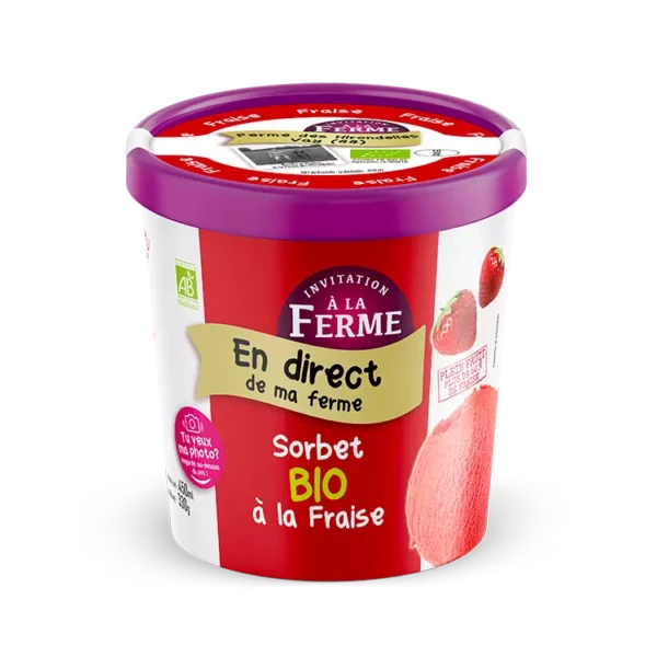 sorbet-fraise-ferme-des-hirondelles